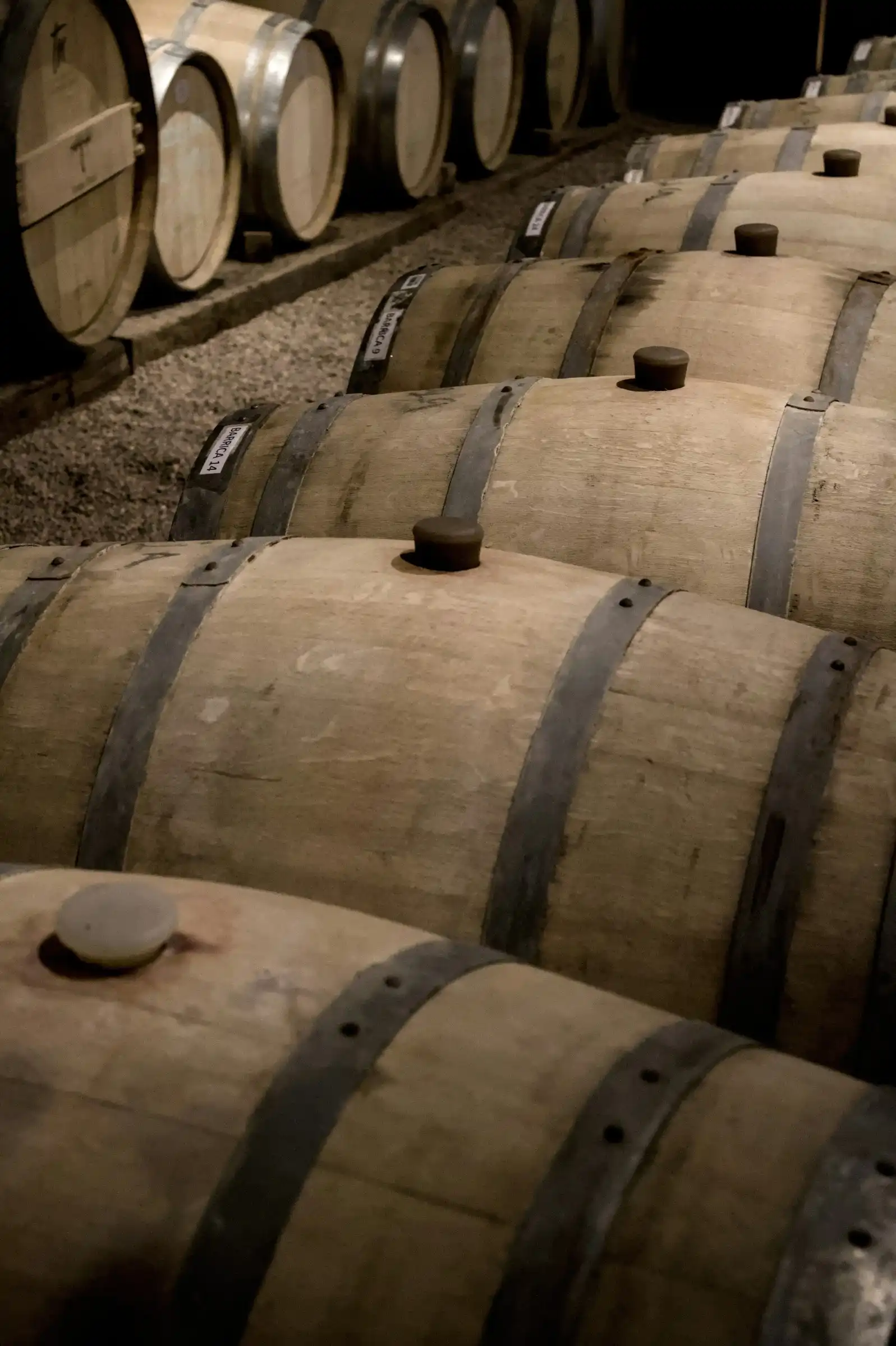 Wine barrels stacked on their sides in rows