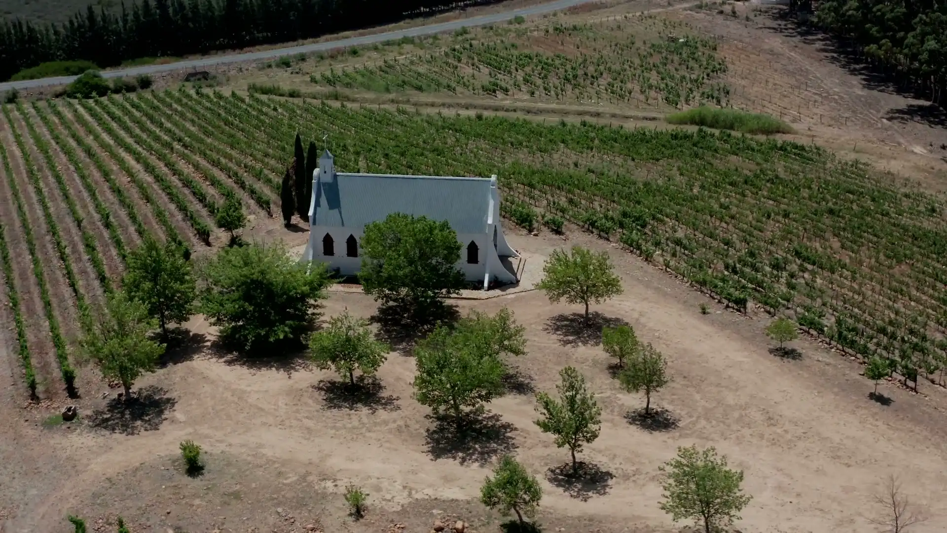 A white chapel among vine rows, seen from above