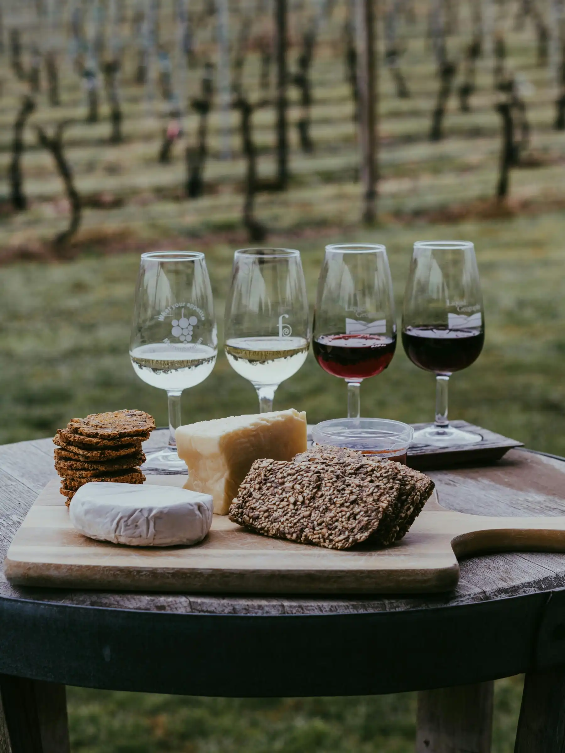 Tasting glasses and a cheese board on a barrel among the vines