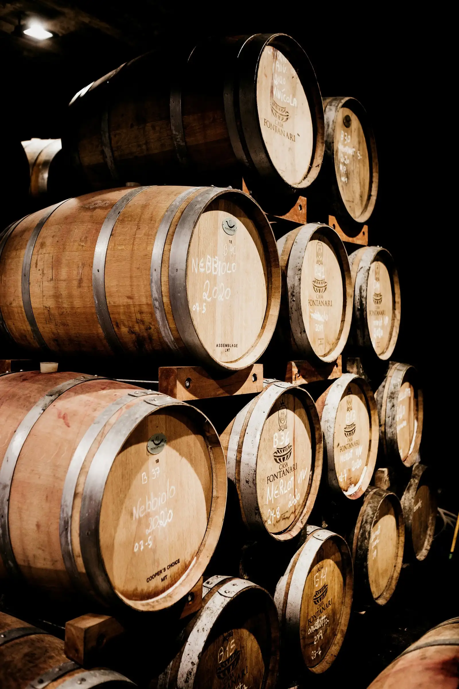 Oak barrels stacked high in a dim cellar