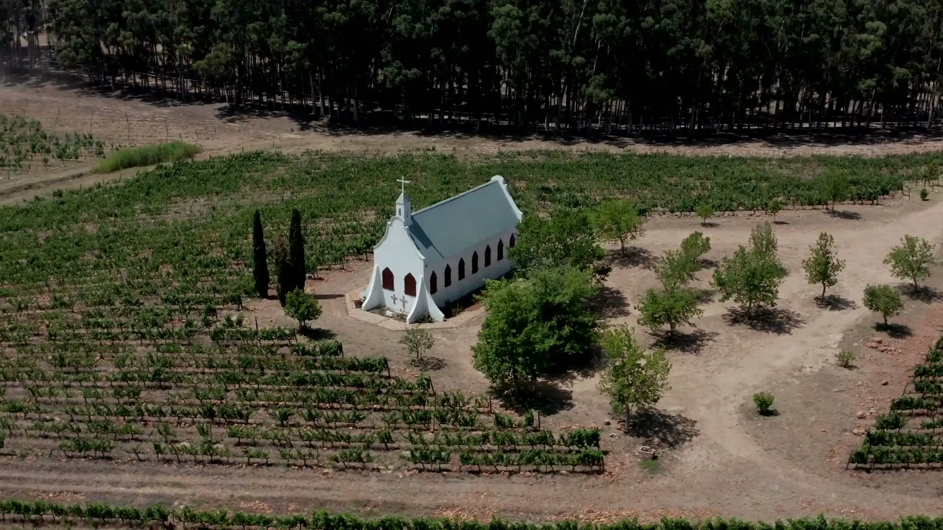 An aerial view of a small white chapel among rows of vines, with tall trees behind